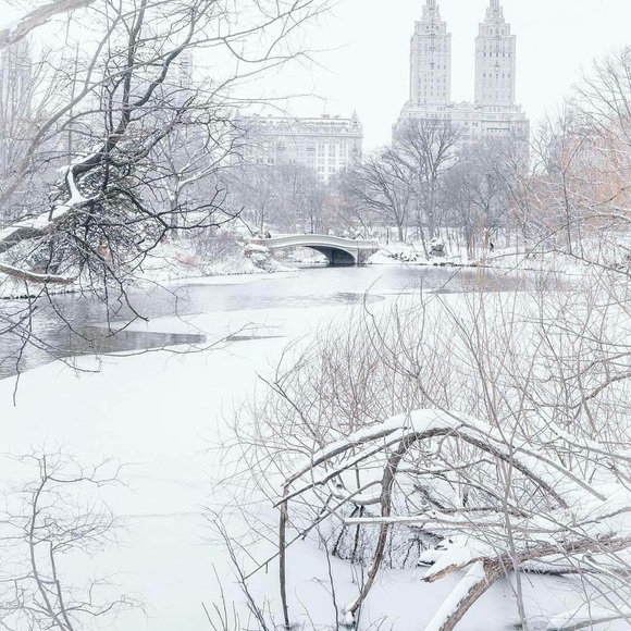 Meet your Posher, Loulisworld - Picture 4 of 5